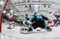 Salzburg vs Linz (c) Felix Roittner